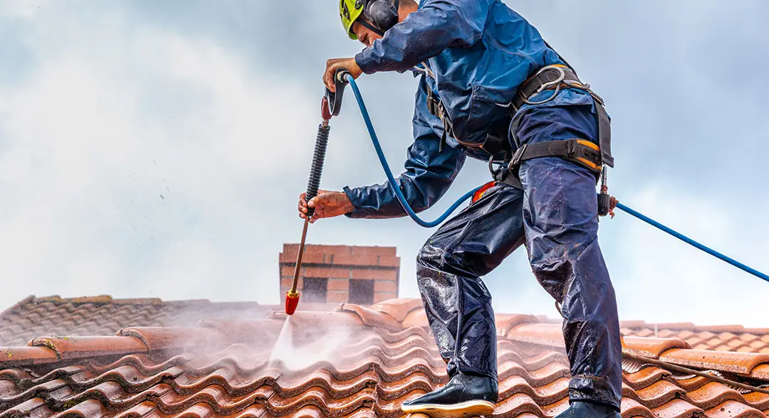 Nettoyage & Démoussage de Toiture